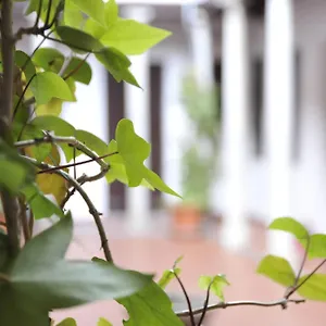  Appartamento Adanar-las Columnas